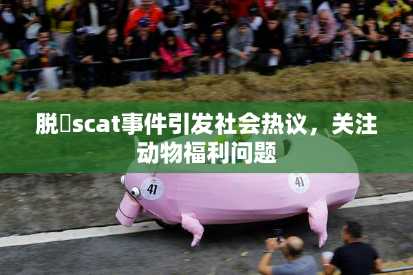 脱糞scat事件引发社会热议，关注动物福利问题