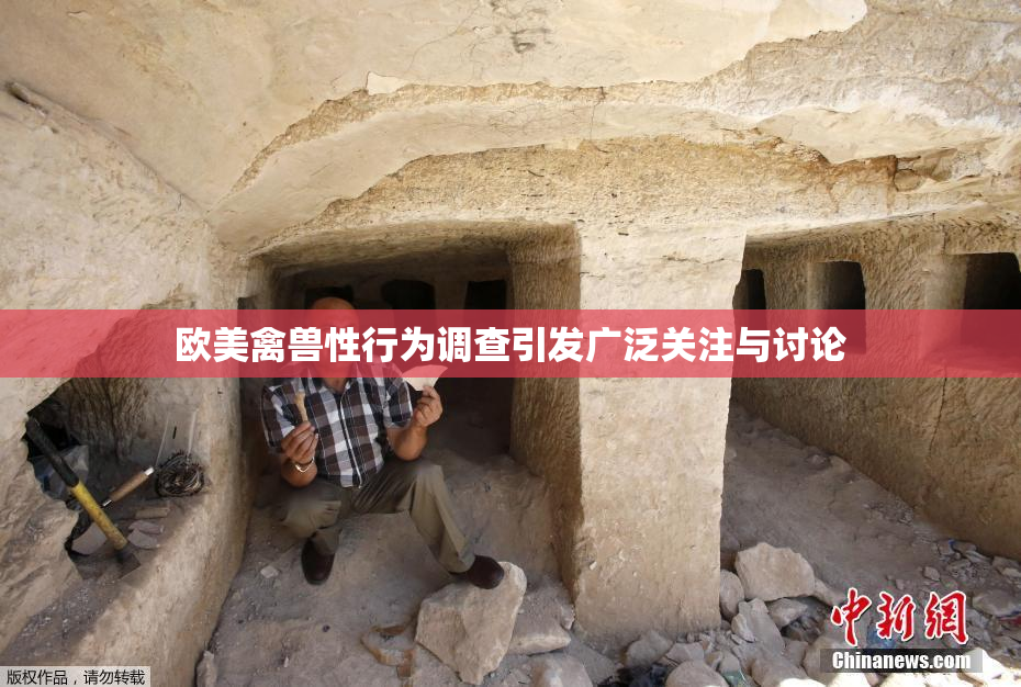 欧美禽兽性行为调查引发广泛关注与讨论