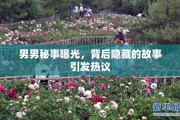 男男秘事曝光，背后隐藏的故事引发热议
