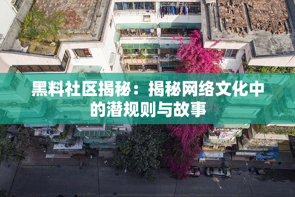 黑料社区揭秘：揭秘网络文化中的潜规则与故事