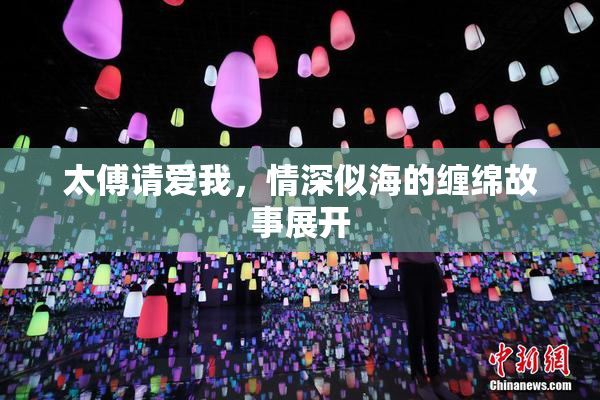 太傅请爱我，情深似海的缠绵故事展开