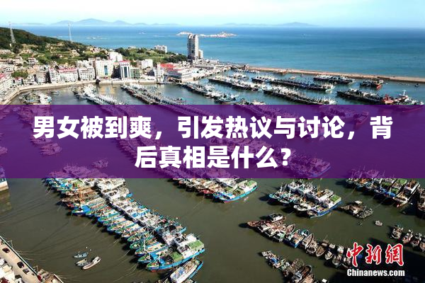 男女被到爽，引发热议与讨论，背后真相是什么？