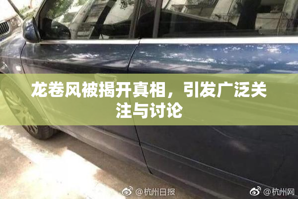 龙卷风被揭开真相，引发广泛关注与讨论