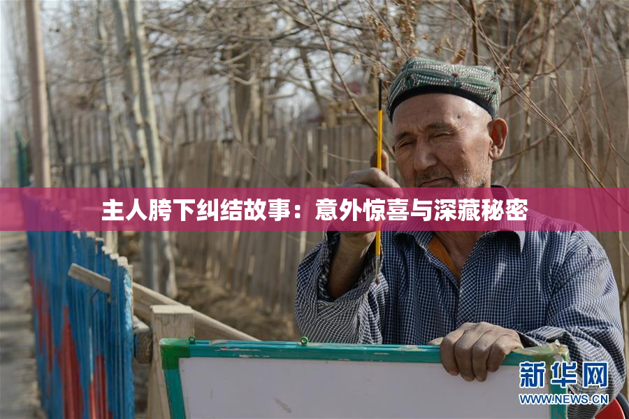 主人胯下纠结故事：意外惊喜与深藏秘密