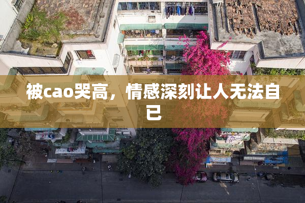 被cao哭高，情感深刻让人无法自已