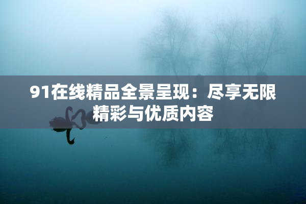 91在线精品全景呈现：尽享无限精彩与优质内容