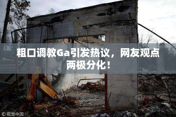 粗口调教Ga引发热议，网友观点两极分化！