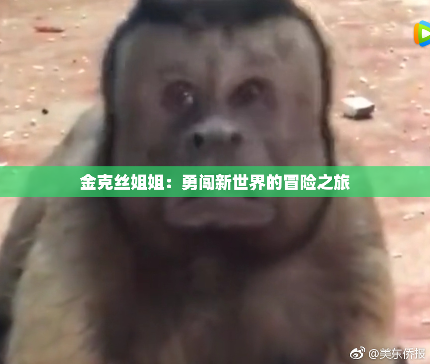 金克丝姐姐：勇闯新世界的冒险之旅