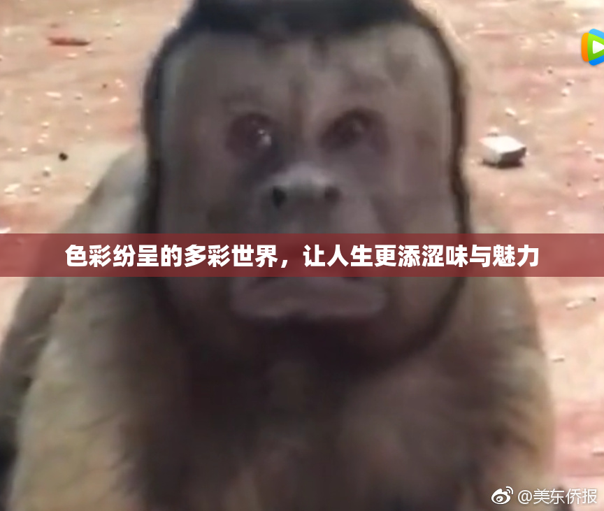 色彩纷呈的多彩世界，让人生更添涩味与魅力