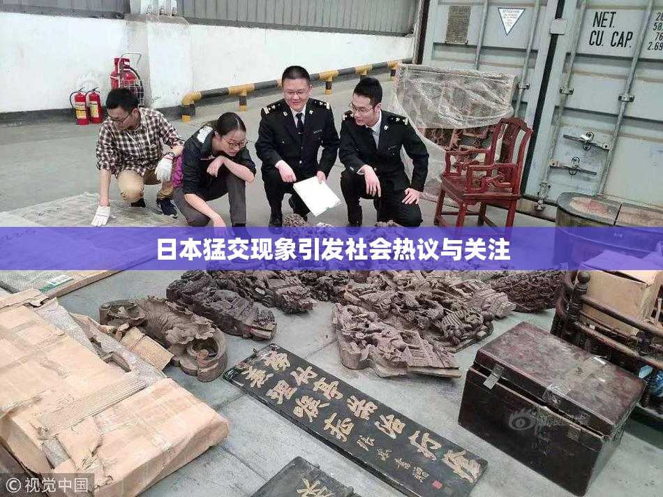 日本猛交现象引发社会热议与关注