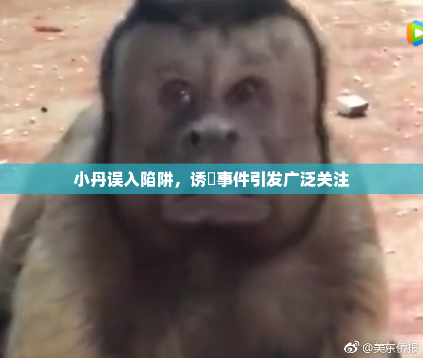 小丹误入陷阱，诱奷事件引发广泛关注