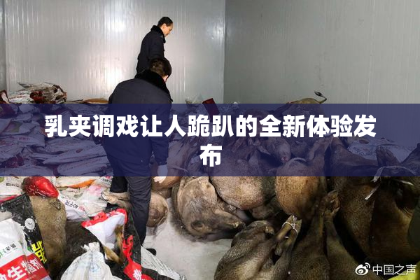 乳夹调戏让人跪趴的全新体验发布
