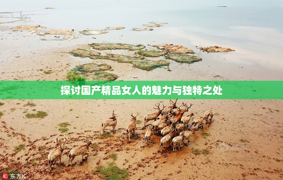 探讨国产精品女人的魅力与独特之处