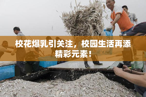 校花爆乳引关注，校园生活再添精彩元素！