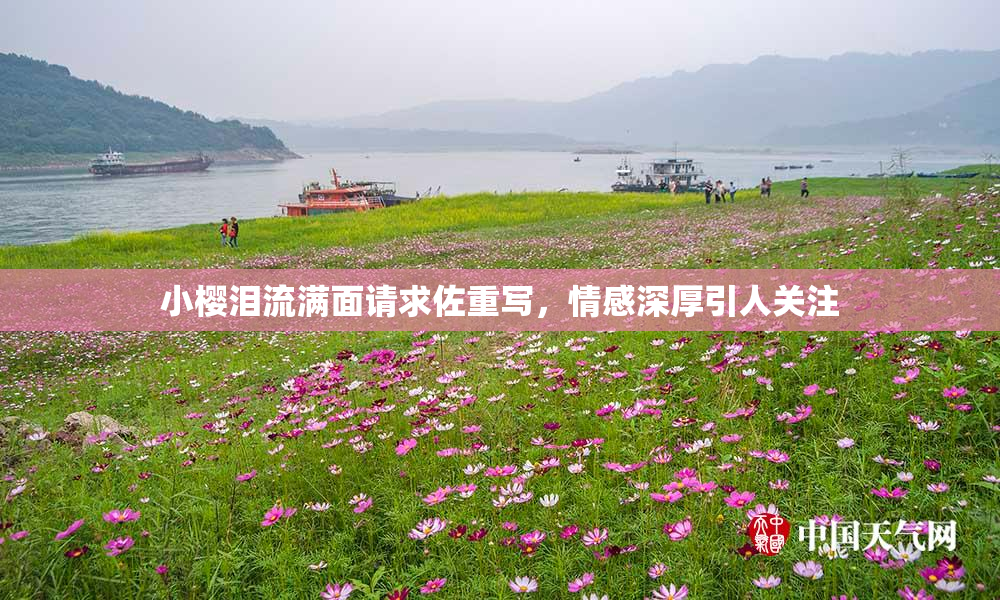 小樱泪流满面请求佐重写，情感深厚引人关注