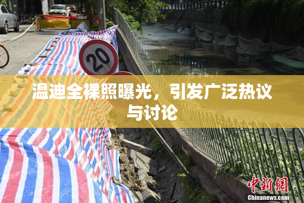 温迪全裸照曝光，引发广泛热议与讨论