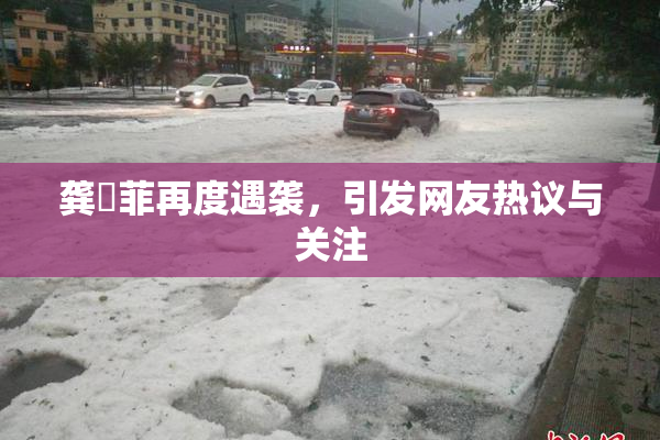 龚玥菲再度遇袭，引发网友热议与关注
