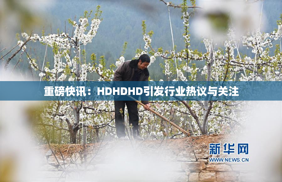 重磅快讯：HDHDHD引发行业热议与关注