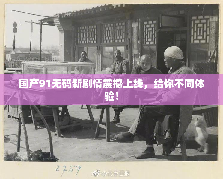 国产91无码新剧情震撼上线，给你不同体验！