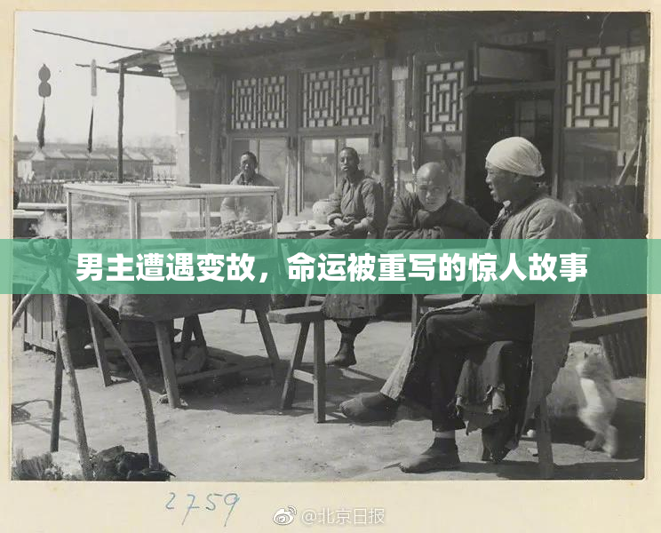 男主遭遇变故，命运被重写的惊人故事