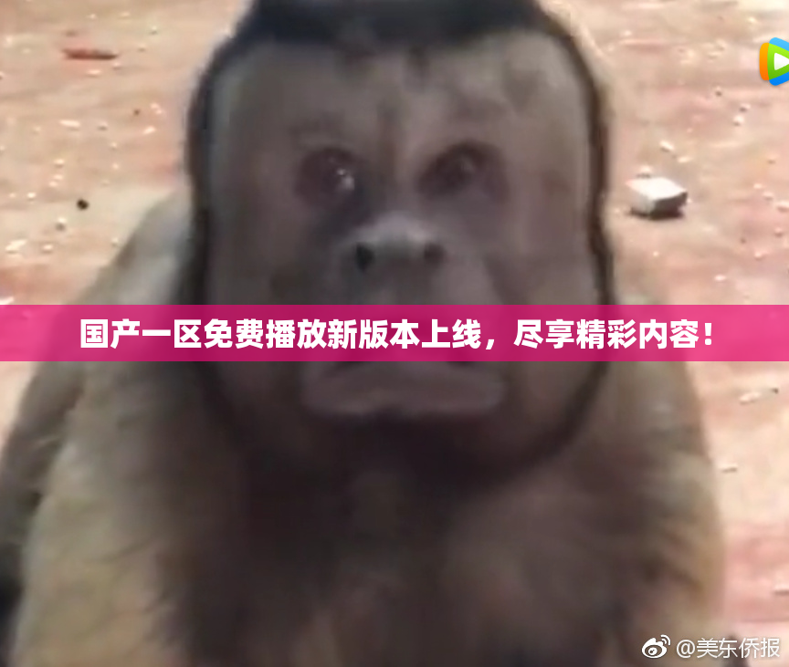 国产一区免费播放新版本上线，尽享精彩内容！