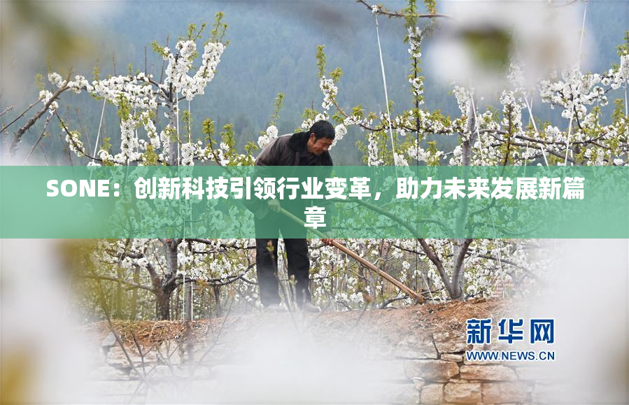 SONE：创新科技引领行业变革，助力未来发展新篇章