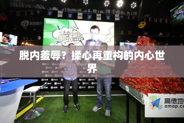 脱内羞辱？揉心再重构的内心世界