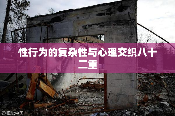 性行为的复杂性与心理交织八十二重