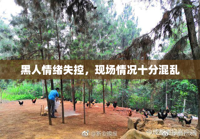 黑人情绪失控，现场情况十分混乱