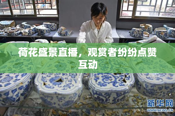 荷花盛景直播，观赏者纷纷点赞互动