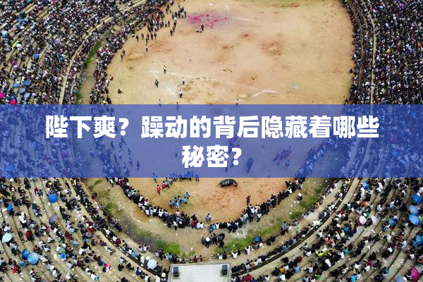 陛下爽？躁动的背后隐藏着哪些秘密？