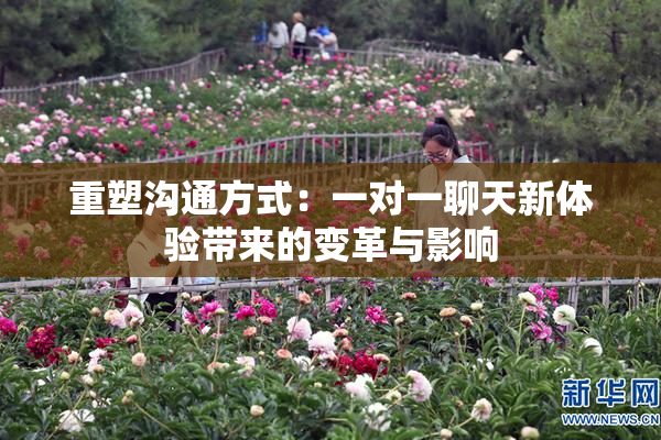 重塑沟通方式：一对一聊天新体验带来的变革与影响