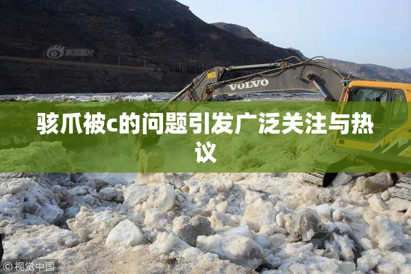 骇爪被c的问题引发广泛关注与热议