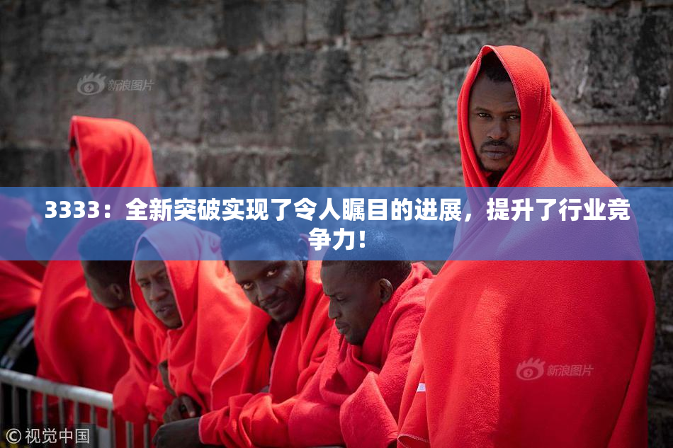 3333：全新突破实现了令人瞩目的进展，提升了行业竞争力！