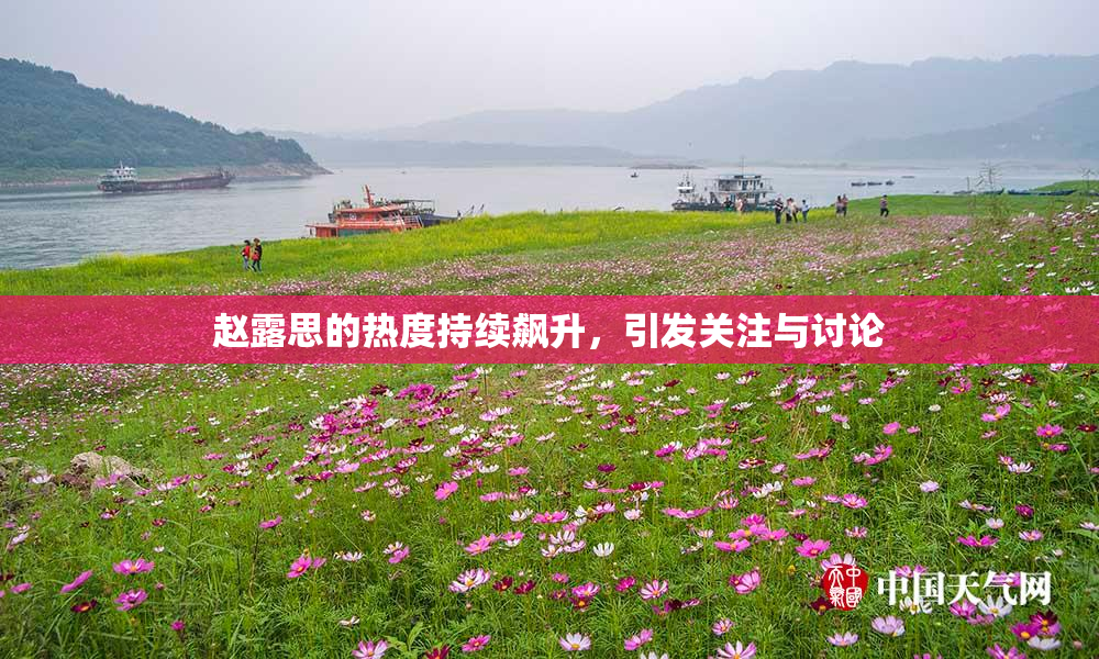 赵露思的热度持续飙升，引发关注与讨论