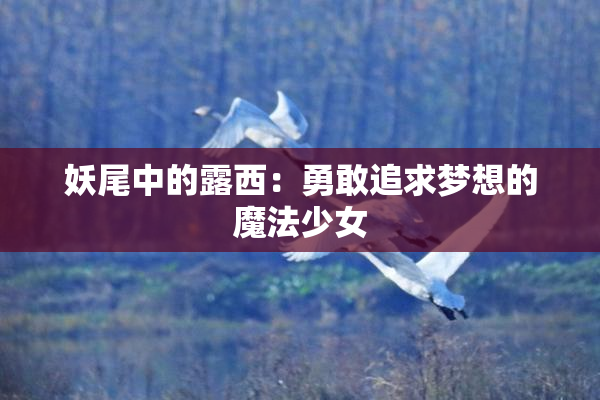 妖尾中的露西：勇敢追求梦想的魔法少女