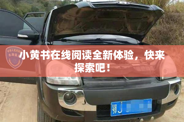 小黄书在线阅读全新体验，快来探索吧！