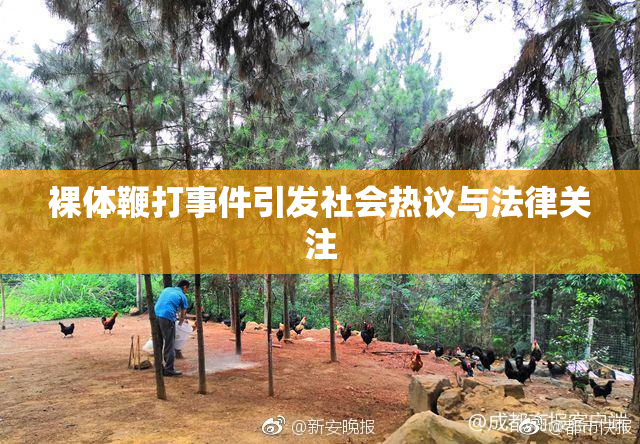 裸体鞭打事件引发社会热议与法律关注
