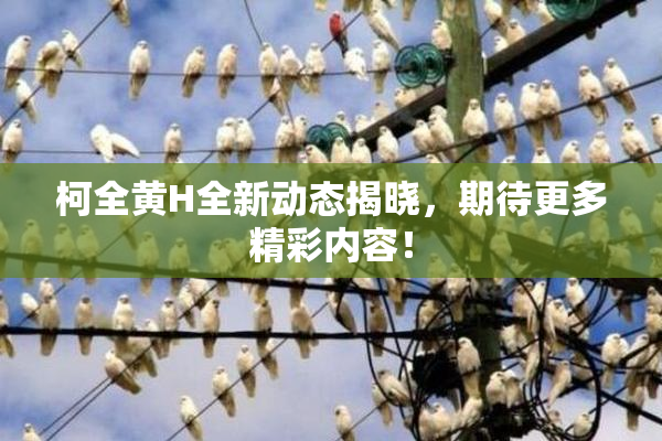 柯全黄H全新动态揭晓，期待更多精彩内容！
