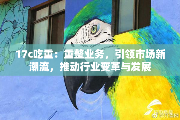 17c吃重：重整业务，引领市场新潮流，推动行业变革与发展