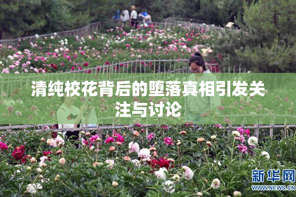 清纯校花背后的堕落真相引发关注与讨论