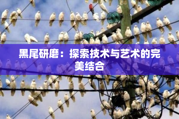 黑尾研磨：探索技术与艺术的完美结合