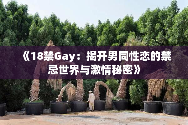 《18禁Gay：揭开男同性恋的禁忌世界与激情秘密》