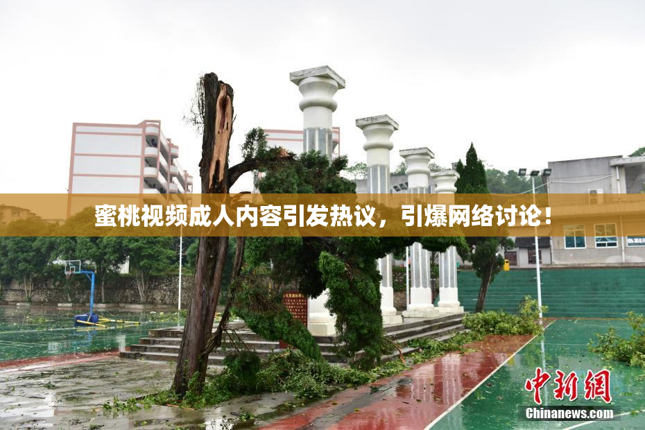 蜜桃视频成人内容引发热议，引爆网络讨论！