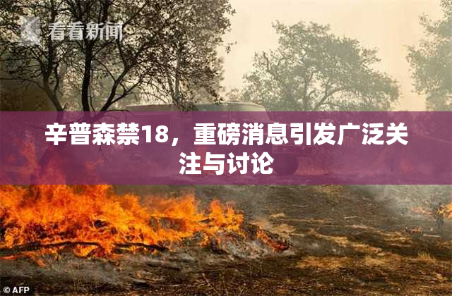 辛普森禁18，重磅消息引发广泛关注与讨论