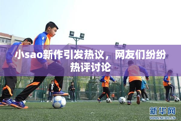 小sao新作引发热议，网友们纷纷热评讨论