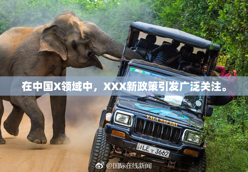 在中国X领域中，XXX新政策引发广泛关注。