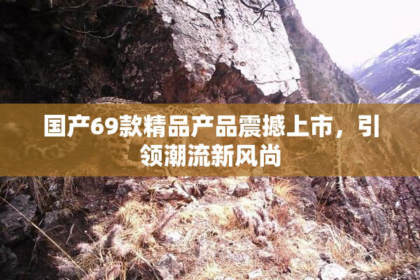 国产69款精品产品震撼上市，引领潮流新风尚