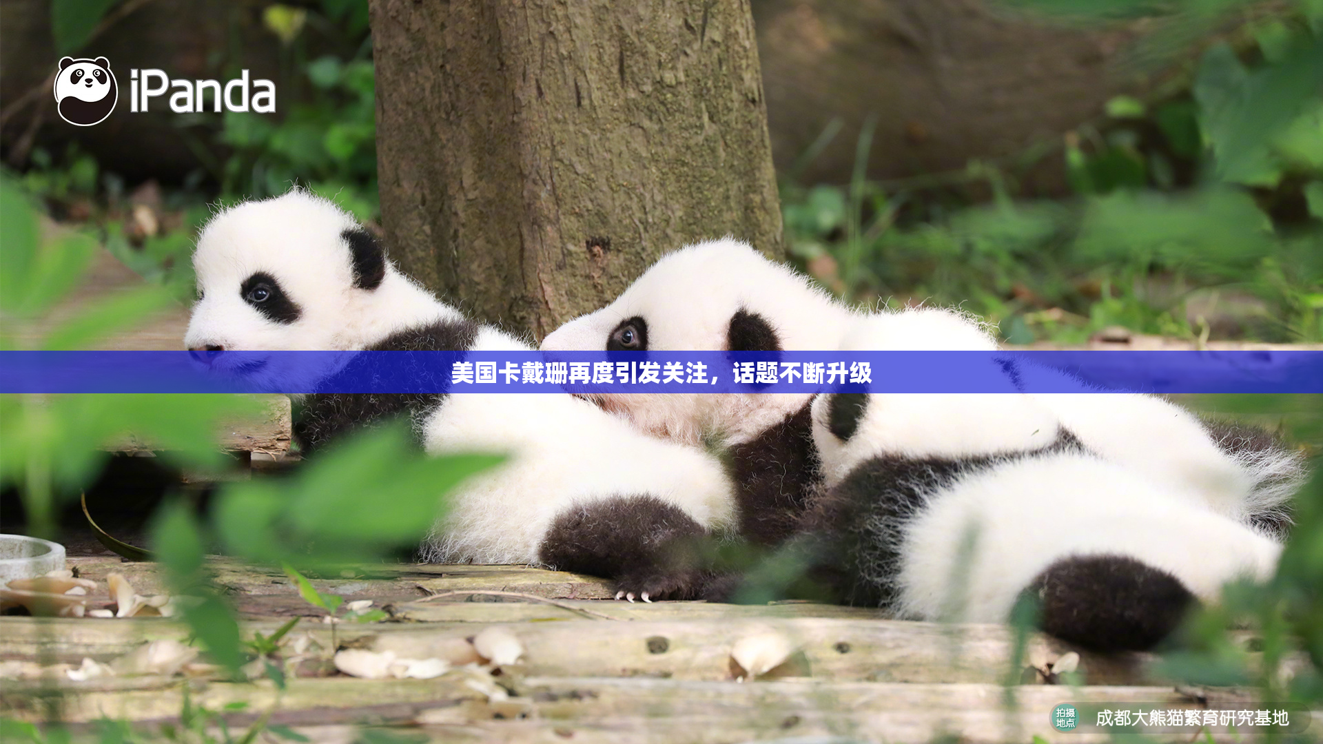 美国卡戴珊再度引发关注，话题不断升级