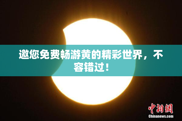 邀您免费畅游黄的精彩世界，不容错过！